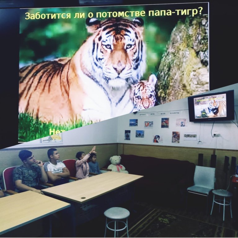 День тигра.