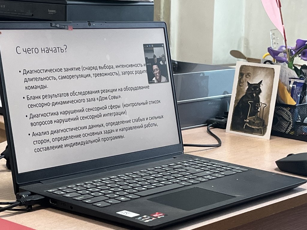 Участие в вебинаре по теме «Опыт работы по методу сенсомоторной интеграции в сенсорно-динамическом зале «Дом Совы».