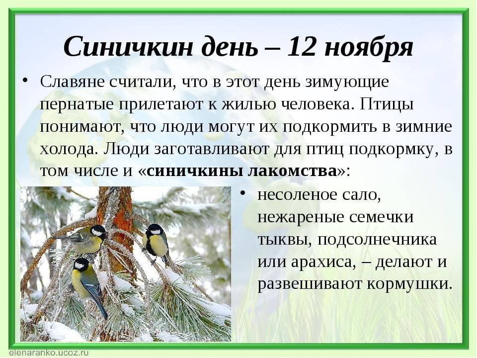 Синичкин день.