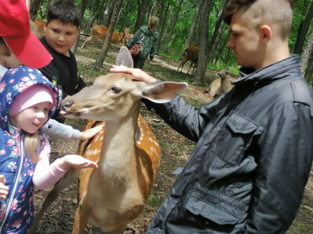 Экскурсия в Приморский Сафари - парк.
