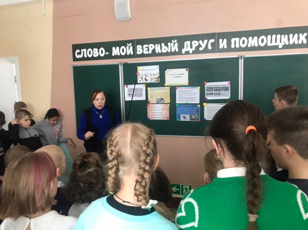 Покормите птиц зимой!.