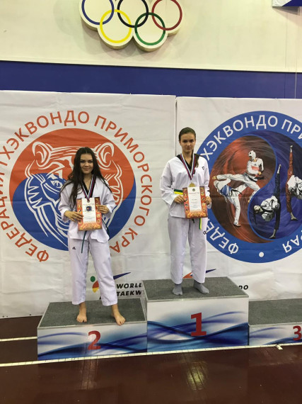 Открытый турнир и спортивный фестиваль по тхэквондо.