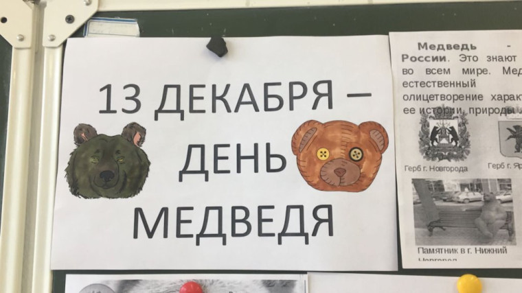День медведя.